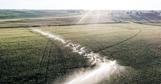 UNL survey finds Nebraska ag land values up 5%