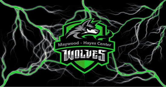 Maywood-Hayes Center Wolves mascot logo.