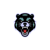 H & H,Bearcats Mascot