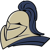 York High School,Dukes Mascot
