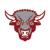 Omaha Buena Vista,Bison Mascot